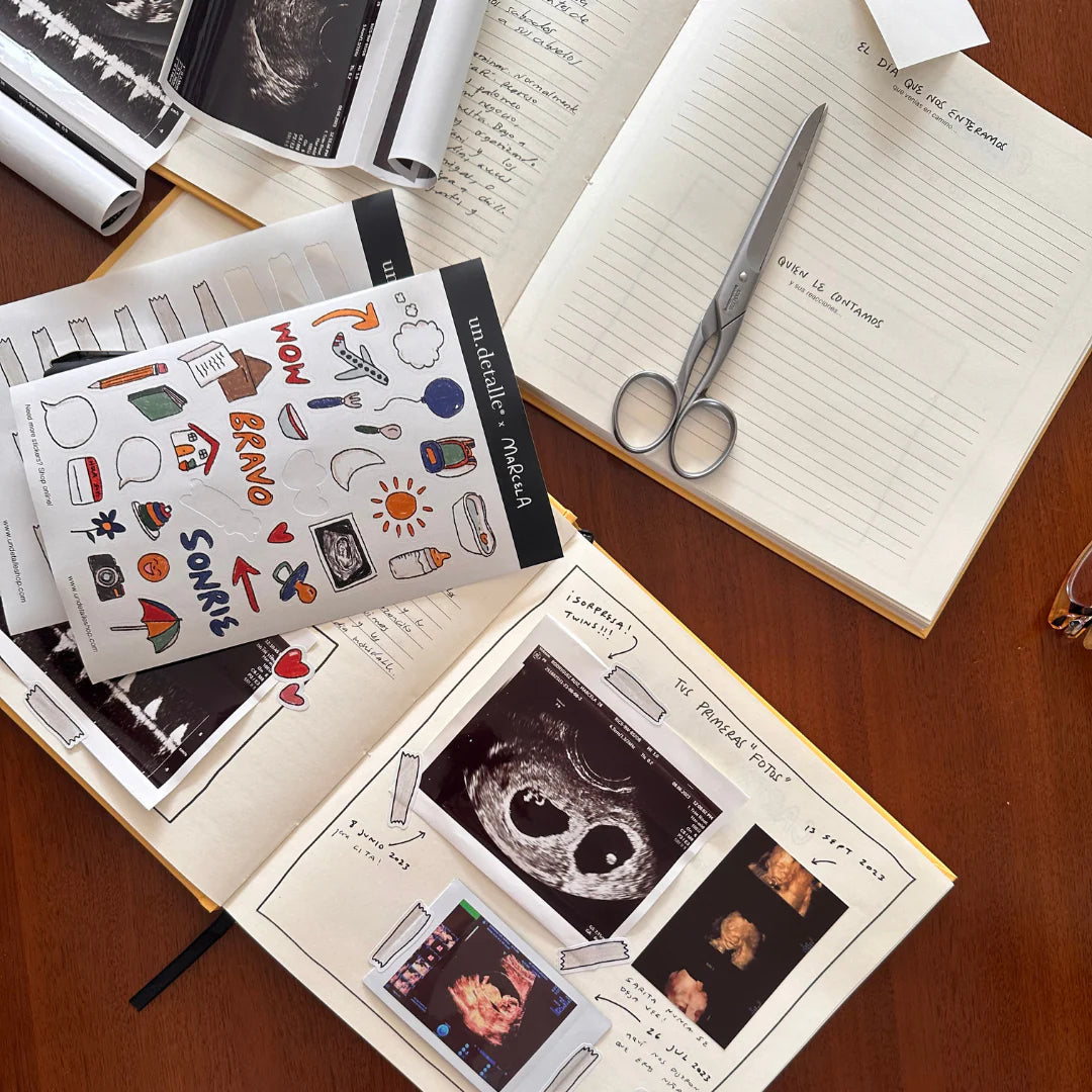 The Baby Journal