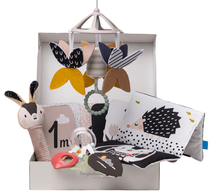 Kit para Recién Nacido Blanco y Negro Taf Toys